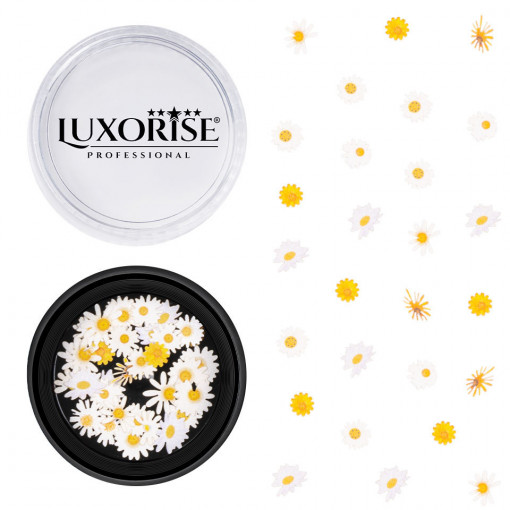 Decoratiuni Unghii Nail Art Daisy Flare, LUXORISE