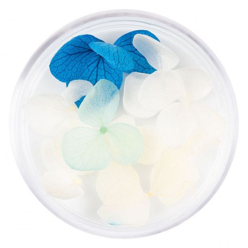 Flori Uscate Unghii Blossom #05 - LUXORISE