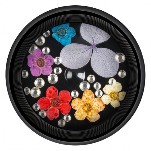 Flori Uscate Unghii cu cristale - Floral Fairytale #07 LUXORISE