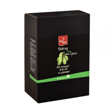 Sirop Nera Plant BIO din muguri de brad cu ghimbir, 3L
