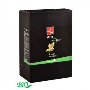 Otet de mere cu macese BIO Nera Plant, 3L