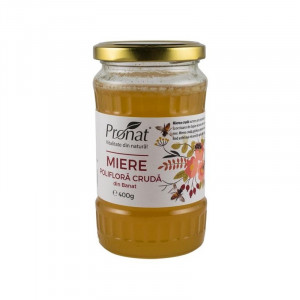 MIERE POLIFLORA CRUDA 400G