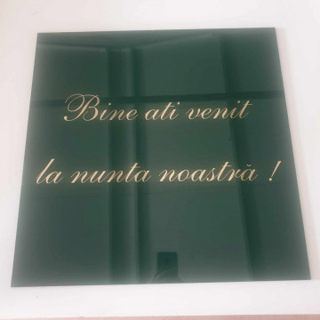Panou întâmpinare 001