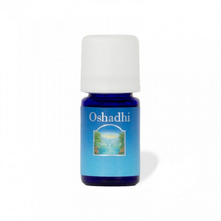 Oshadhi eterično ulje eukaliptus polibraktea kripton 10ml