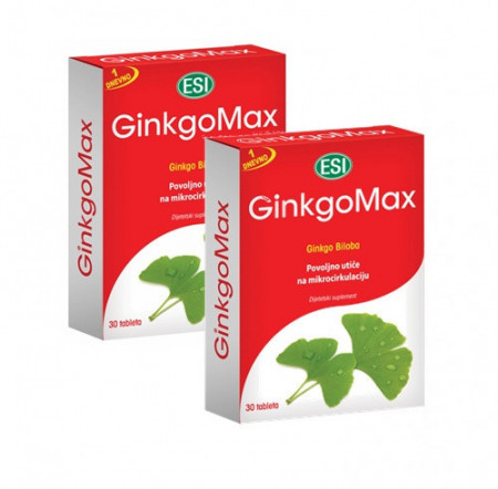 GINKOMAX tbl duo pack 60tbl