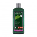 LOGONA sampon GINKO za SUVU i OSTECENU kosu 250ml