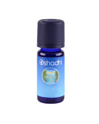 Oshadhi eterično ulje Bosiljak sveti 10ml