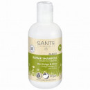 Sante Family - šampon organski ginko i maslina 250ml