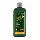 LOGONA šampon BIO ARGAN za LOMLJIVU i OŠTEĆENU kosu 250ml