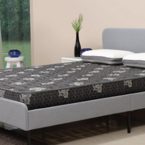 Centuary Dr Sleep Mattress With Coir And Bonded Foam 5" With 5 Years Warranty