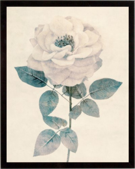 Ethereal Floral I