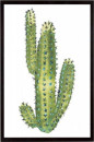 Desert Wild II