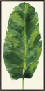 Tropical Palm Leaf III