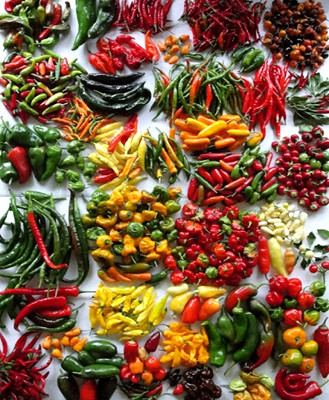 Peperoncini dal mondo