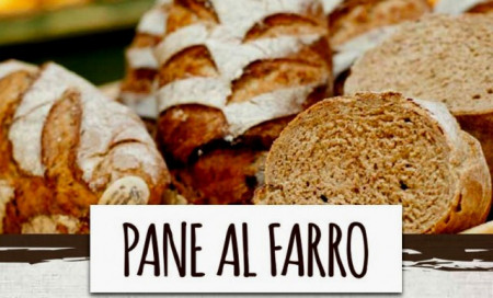 PAN DI FARRO. Miscela per pane al farro con semola e granella di farro integrale.Irca