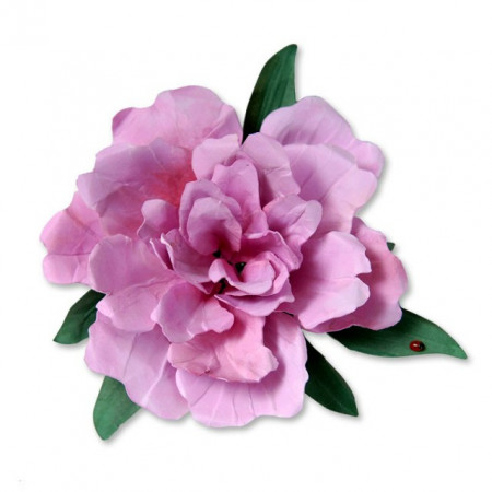 Peonia. 7 Stampi per Petali e Foglie. Decora