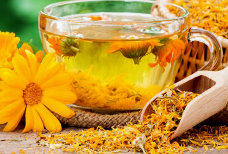 fiore di Calendula 