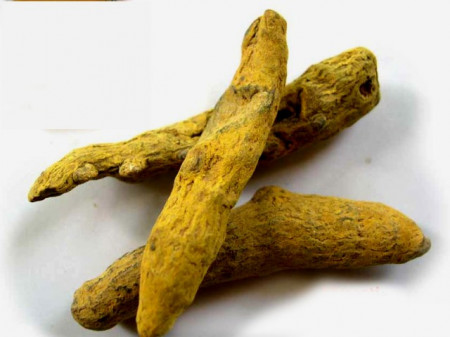 radice di Curcuma