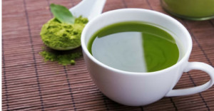 Matcha TE