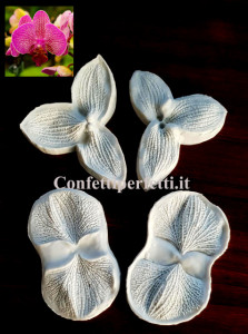Orchidea Phalaenopsis. Set di 4 grandi stampi Petali in alta risoluzione. Petals Mold