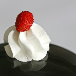 Per stabilizzare la panna. Panna Fix