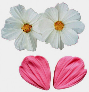 Petalo Margherita. 2 Venatori in silicone
