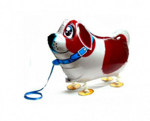 Cane San Bernardo. Il palloncino che cammina. Walking Balloon Foil. 62 x 46
