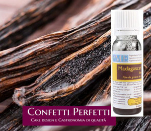 Estratto Vaniglia Madagascar Bourbon Bean Paste. PME