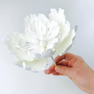 Gum Paste Bianca per Fiori Decorina Vip per modelling
