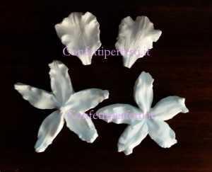 Orchidea Odontoglossum. 4 Venatori in silicone