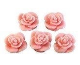 Stampo in silicone 5 Rose