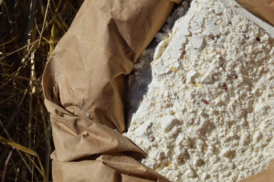 Farina ai 10 Cereali, ideale per la preparazione del Pane e Focacce