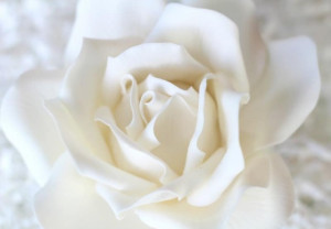 Gum Paste Bianca per Fiori. Decorina Vip per decorare le tue torte