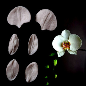 Orchidea Phalaenopsis. Set di 6 stampi Petali in alta risoluzione. Phalaenopsis Petals Moulds Fondant Cakes