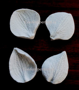 Petali Orchidea Phalaenopsis Moth. 4 Venatori in silicone