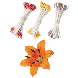 Pistilli per Fiori colorati.