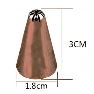 Set di 12 Beccucci + Riduttore + Sac a Poche