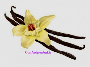 Bacca di Vaniglia Bourbon Madagascar. Confezione di 2 bacche 