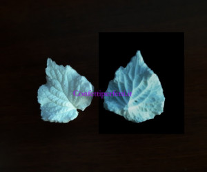 Foglie di Ortica Lamium. 2 Venatori in silicone