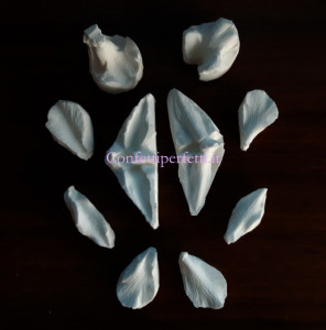 Orchidea Dendrobium. 10 Venatori in silicone