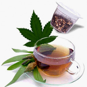 Tisana alla Cannabis. Nespresso. 10 Capsule