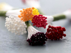 50 Pistilli 3 mm Neri per il cake design