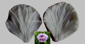 7.8 x 6.5 cm con Venature sottili. Petalo Peonia. Grande stampo in Alta definizione. 2 Venatori in silicone