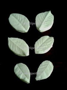 Foglie Rosa Briar o Rubignosa. 6 Venatori in silicone 