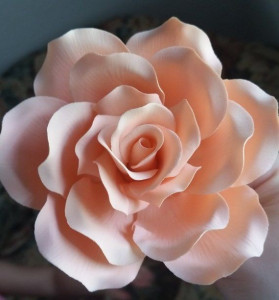 Gum Paste Rosa Tea per Fiori. Decorina per decorare