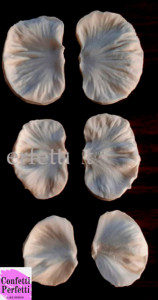 Orchidea petali di 6 - 5 e 4.5 cm. Set di 6 Stampi in alta definizione. Venatore in silicone