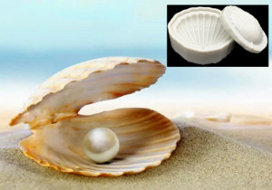 Ostrica da Perla. Conchiglia di mare in alta definizione. Doppio Stampo in silicone