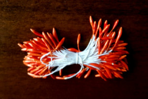 Pistilli lunghi per fiori Arancio.