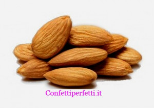 Mandorle sgusciate. Serfruit