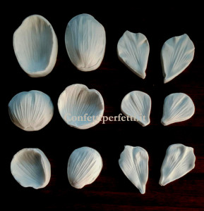 Orchidea. Spettacolare set di 12 Venatori di Foglie e Petali. Stampo in silicone
